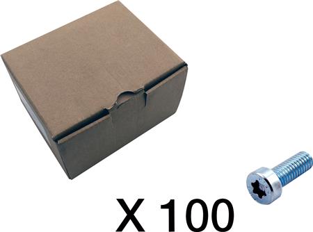 Cubic 100 Cylinderskrue, Torx