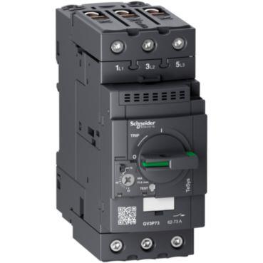 Schneider Electric Motorværn 62-73A Termo/Mag Everlink