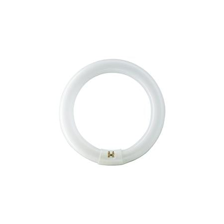 Philips Lysrør Tl-E Circular 22W/840 1C