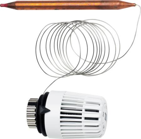 Ta Ta Termostat T/Dykrør 40-70 Gr