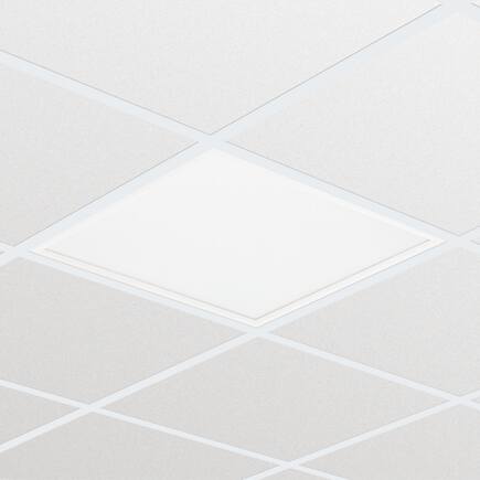 Philips Coreline Panel Led 3400Lm/830 Dali 60X60